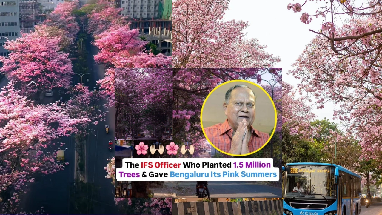 IFS Officer Sethuram Gopalrao Neginhal: Who Planted 1.5 M trees